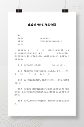 建设银行外汇借款合同（2）